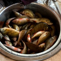 База отдыха Звезда на Ахтубе, Харабалинский район, Астраханская область