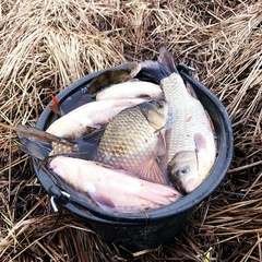 База отдыха Звезда на Ахтубе, Харабалинский район, Астраханская область