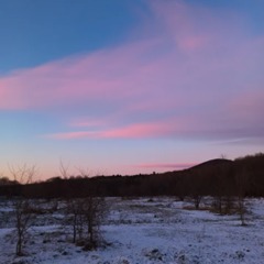 База отдыха Глэмпинг парк Манамур, Хабаровский край
