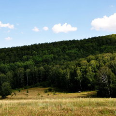 База отдыха Ямашла, Республика Башкортостан