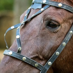 База отдыха Ямашла, Республика Башкортостан