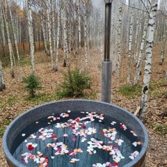 Глэмпинг АйДА relax, Переславль-Залесский, Ярославская область