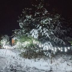 Глэмпинг Белистрел, Судогодский район, Владимирская область