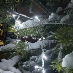 Глэмпинг Белистрел, Судогодский район, Владимирская область