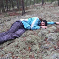 Глэмпинг Белистрел, Судогодский район, Владимирская область