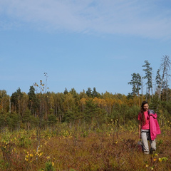 Глэмпинг Белистрел, Судогодский район, Владимирская область