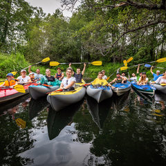 Глэмпинг Белистрел, Судогодский район, Владимирская область
