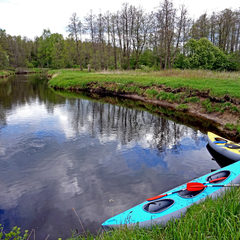 Глэмпинг Белистрел, Судогодский район, Владимирская область