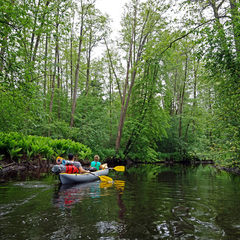 Глэмпинг Белистрел, Судогодский район, Владимирская область