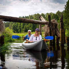 Глэмпинг Белистрел, Судогодский район, Владимирская область