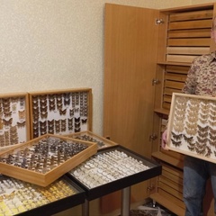 Глэмпинг Белистрел, Судогодский район, Владимирская область