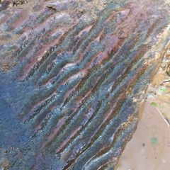 Глэмпинг Белистрел, Судогодский район, Владимирская область