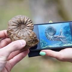 Глэмпинг Белистрел, Судогодский район, Владимирская область