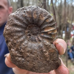 Глэмпинг Белистрел, Судогодский район, Владимирская область