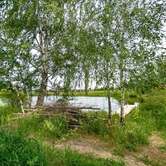 Загородный дом Домик у озера, Дмитровский район, Московская область