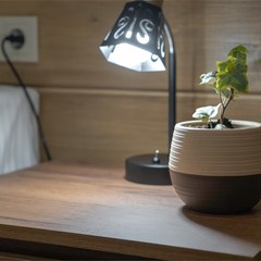 Отель Наше Место, село Паратунка, Камчатский край