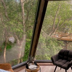 Глэмпинг Vazuza Love, Гагаринский район, Смоленская область