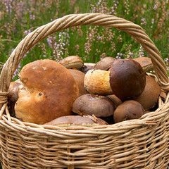 Глэмпинг Vazuza Love, Гагаринский район, Смоленская область