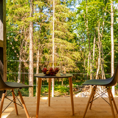 База отдыха Лес и Гора, Ленинградская область