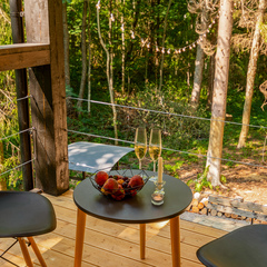 База отдыха Лес и Гора, Ленинградская область