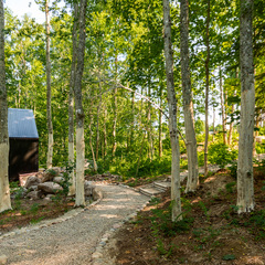 База отдыха Лес и Гора, Ленинградская область