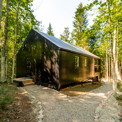 База отдыха Лес и Гора, Ленинградская область