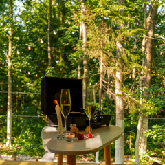 База отдыха Лес и Гора, Ленинградская область