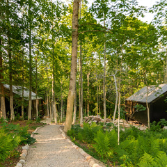 База отдыха Лес и Гора, Ленинградская область