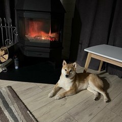 Гостевой дом Домик в Икше, Дмитровский район, Московская область