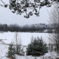 Загородный дом Лосиный ключ, Всеволожский район, Ленинградская область