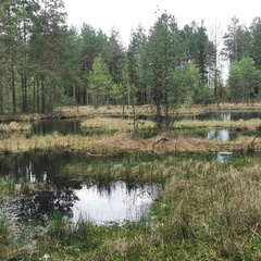 Гостевой дом Дмитрий Кочетков, Шатура, Московская область
