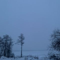 База отдыха MikaHouse, Некоузский район, Ярославская область