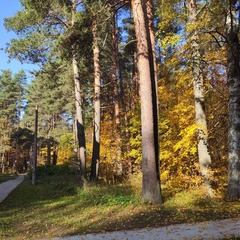 Санаторий Черная речка, Санкт-Петербург, Ленинградская область