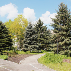 Санаторий Голубые ели, Республика Кабардино-Балкария