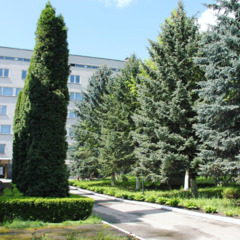 Санаторий Голубые ели, Республика Кабардино-Балкария