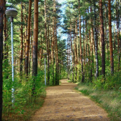 Санаторий Белые ночи, Санкт-Петербург, Ленинградская область