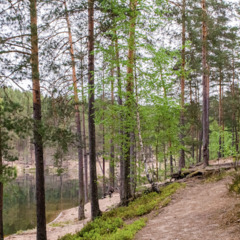 Загородный клуб Радужный лес, Выборгский район, Ленинградская область