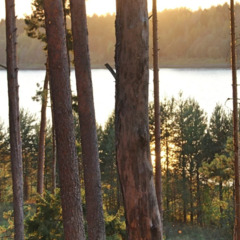 База отдыха Хуторок, Усть-Кубинский район, Вологодская область