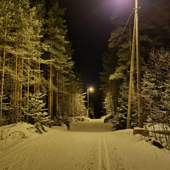 База отдыха Тихая Гавань, Выборг, Ленинградская область, Ленинградская область
