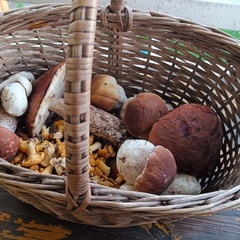 Глэмпинг Это Жизнь, Лахденпохский район, Республика Карелия