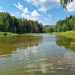База отдыха Богородское, Якшур-Бодьинский район, Республика Удмуртия