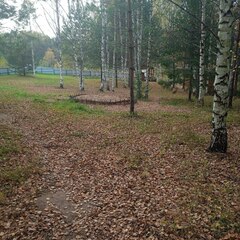 База отдыха Богородское, Якшур-Бодьинский район, Республика Удмуртия