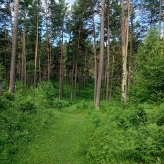 База отдыха Панорама Алтай, Чемальский район, Республика Алтай