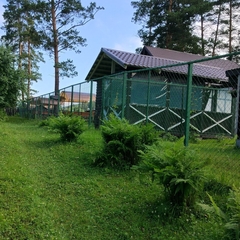 База отдыха Панорама Алтай, Чемальский район, Республика Алтай