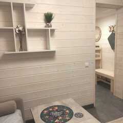 Глэмпинг Vintergatan Млечный Путь, Сортавала, Республика Карелия