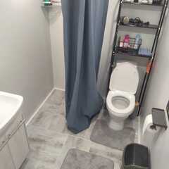 Глэмпинг Vintergatan Млечный Путь, Сортавала, Республика Карелия