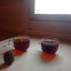 База отдыха Мельница, Карасук, Новосибирская область