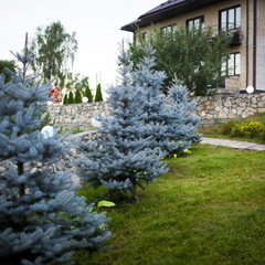 База отдыха Зеленая Долина, Алексинский район, Тульская область