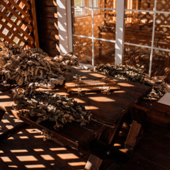 База отдыха Таруса Лайф, Тарусский район, Калужская область