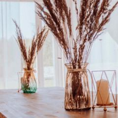 База отдыха Таруса Лайф, Тарусский район, Калужская область